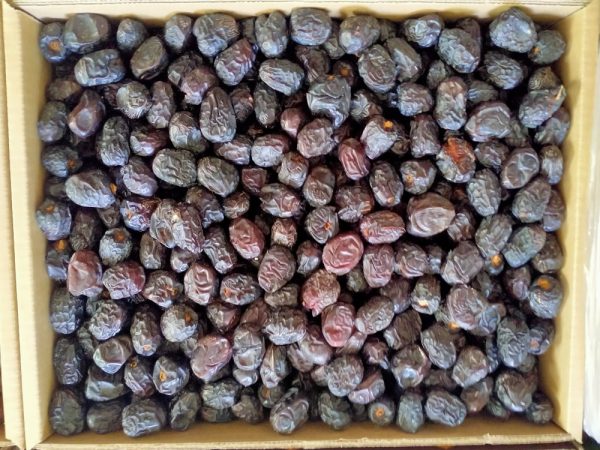 Kurma Ajwa Large - Image 2